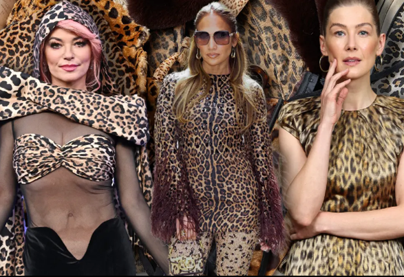 Fall and Winter Fashion Clothing Choices: Leopard Print