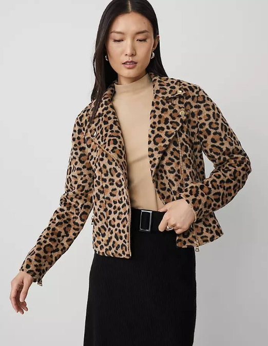 Fall and Winter Fashion Clothing Choices: Leopard Print