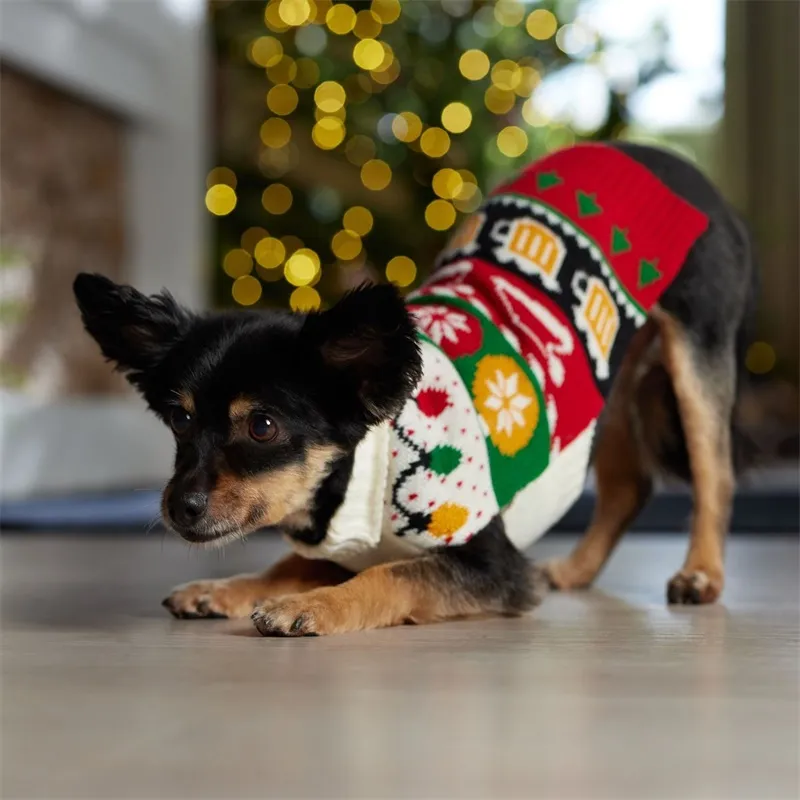 Christmas sweater for pets